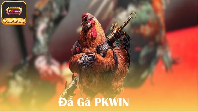 Giới thiệu về đá gà PKWIN