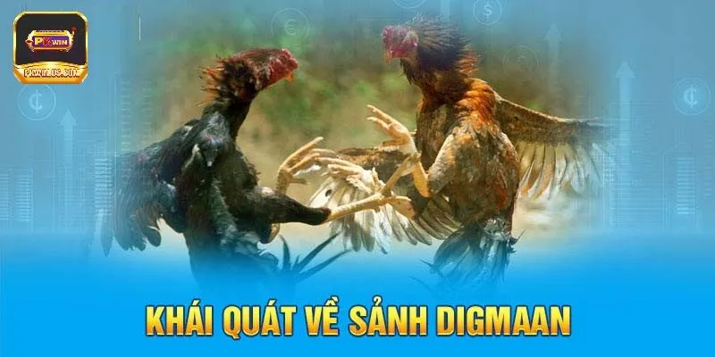 Giới thiệu về digmaan đá gà