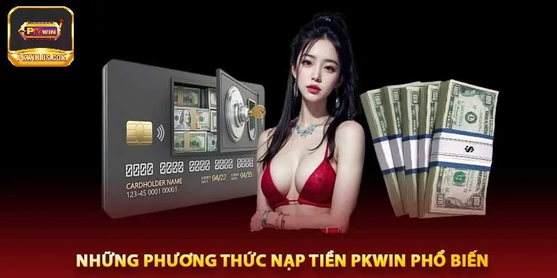 Giới thiệu về hệ thống giao dịch PKWIN