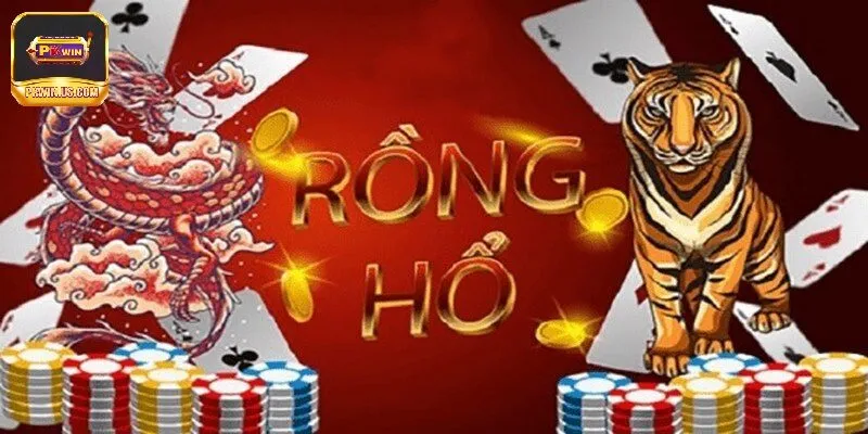 Tổng quan về rồng hổ PKWIN